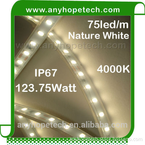 Bottom price 4000K 75ledm 123.75W high lumens led flexible strip